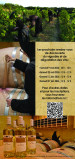 Flyer balade et dégustation
