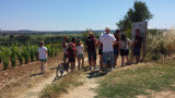 Balade et commentée dans le vignoble et dégustation de vins_Bourdic