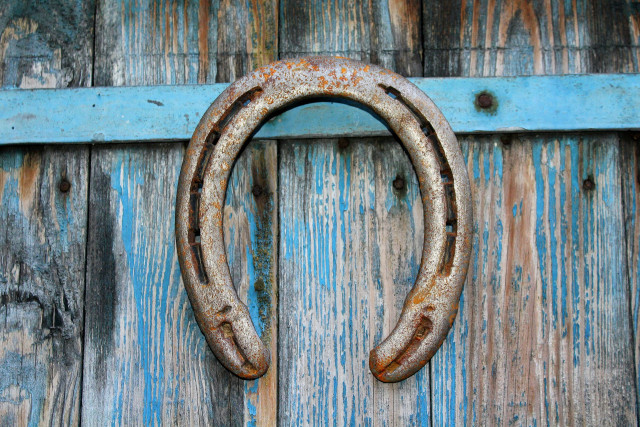 Visites guidées du Haras