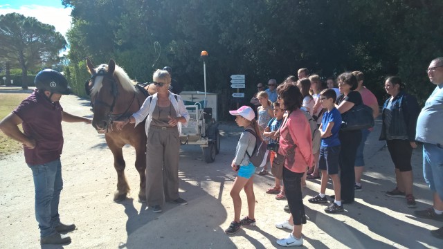 Visites guidées du Haras national Uzès été 2020
