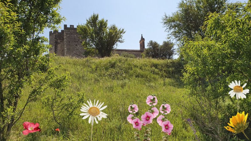 Prairie autour de l'église fortifiée de Saint-Bonnet-du-Gard