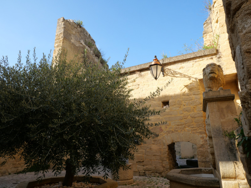 Visite guidée gratuite de Castillon-du-Gard