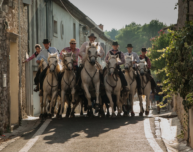 Du pré à l'arène_Aramon Du pré à l'arène_Aramon