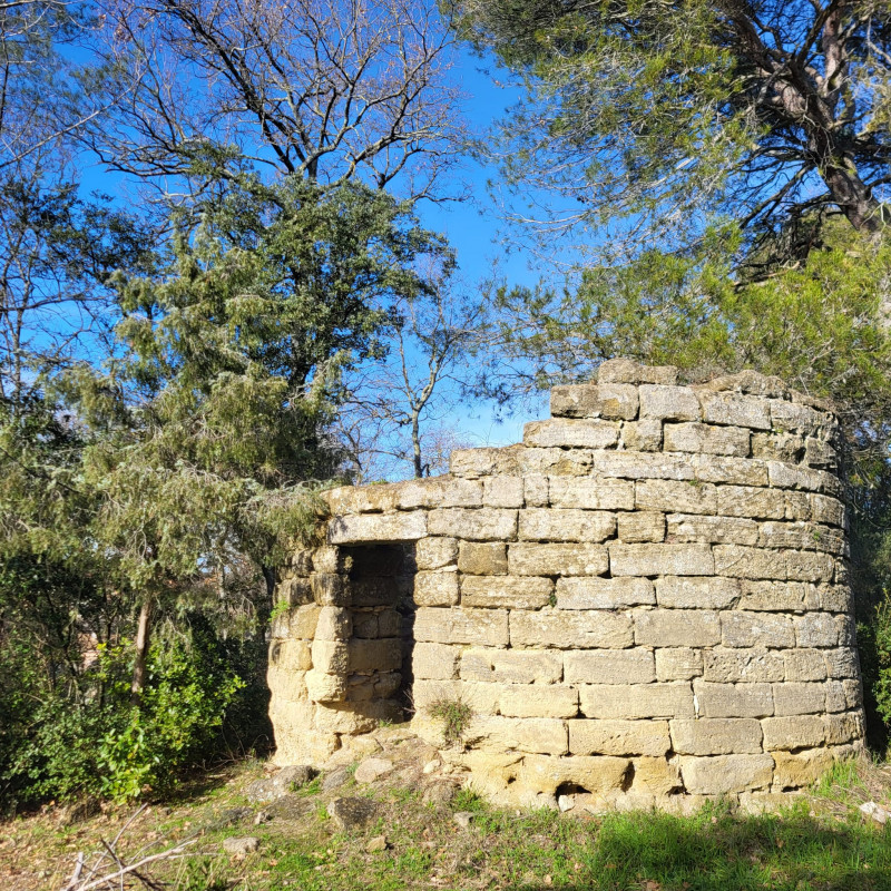 Moulin au bord du Rieu