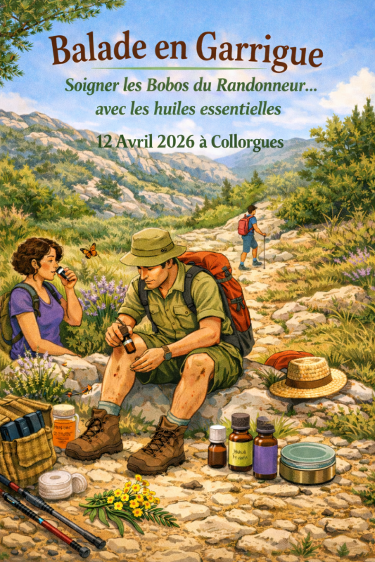 Soins natuels en garrigue