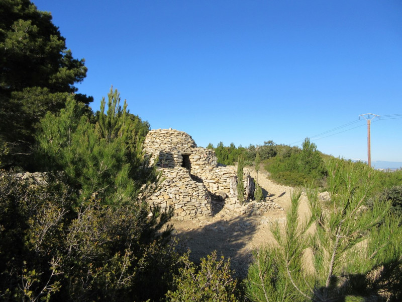 Balade botanique autour des capitelles Balade botanique autour des capitelles