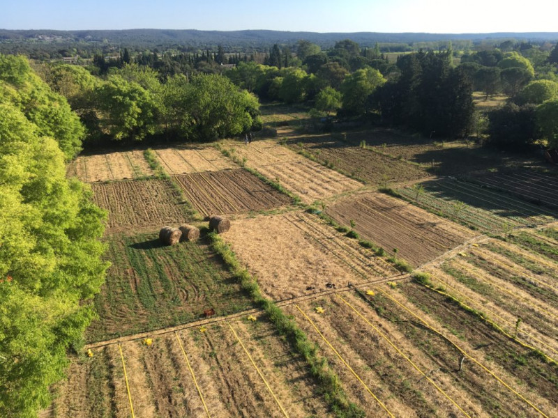 Parcelles en agroforesterie Parcelles en agroforesterie