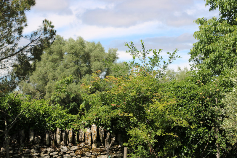 Agriculture diversifiée et écologique Agriculture diversifiée et écologique