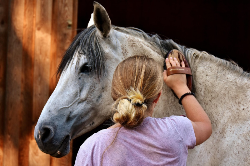 Visites guidées du matinale au Haras National d'Uzès - Uzès, Ville d'art et d'histoire_Uzès