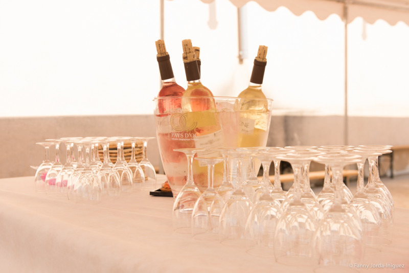 Balade et commentée dans le vignoble et dégustation de vins_Bourdic