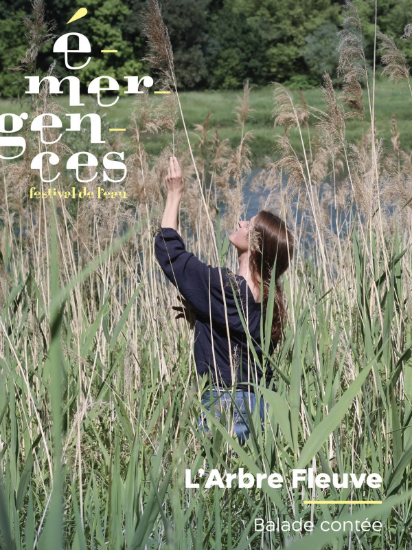 Affiche balade contée L'arbre Fleuve