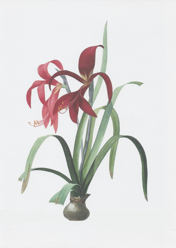 Poésie botanique